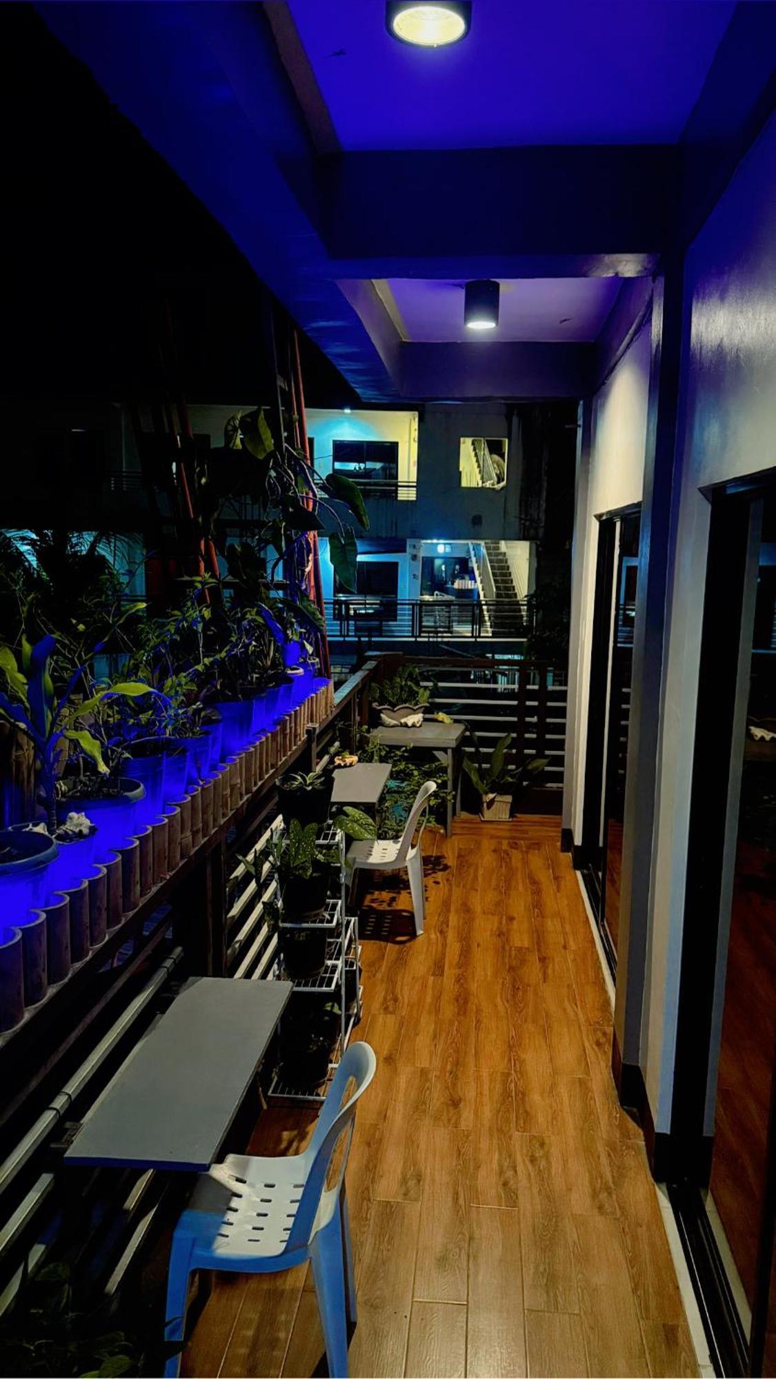Lolo Bob'S Bed And Breakfast 爱妮岛 外观 照片